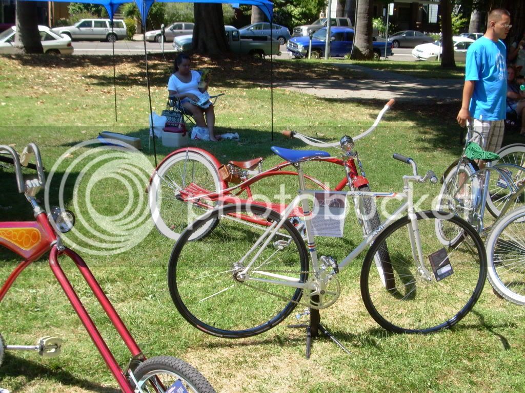 Cyclefest2010017.jpg