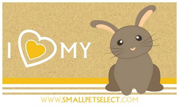 Rabbit-Sticker2.jpg