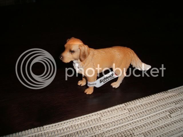 oct3108schleichretriever640x480.jpg