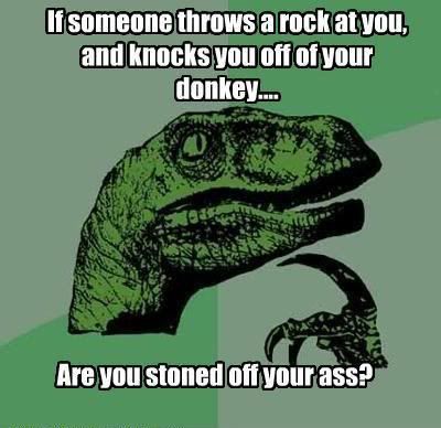 stoned_off_your_ass_philosoraptor.jpg