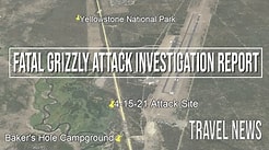 Fatal Grizzly Attack Investigative Report Released - Daily Travel News