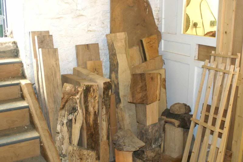 Inside-woodpile.jpg