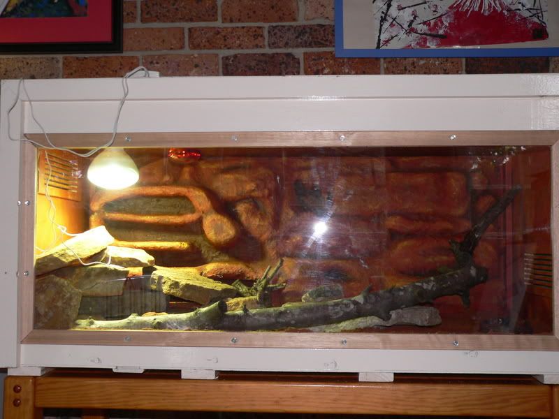 DIY Ridge tail Monitor Enclosure!! | Aussie Pythons & Snakes Forum