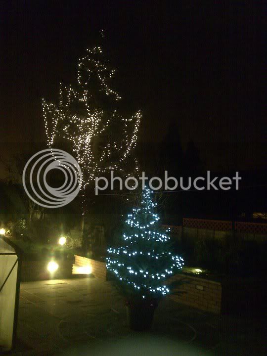 xmastree1pic.jpg