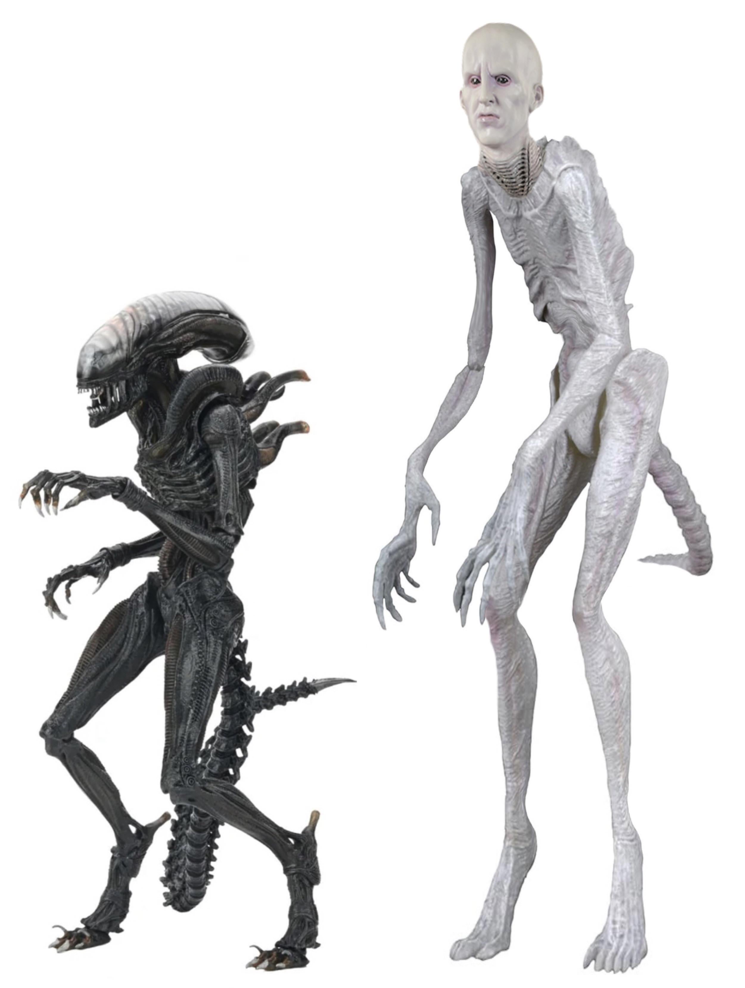 neca-alien-romulus-spoiler-figure-v0-ablcjwddy4jd1.jpeg