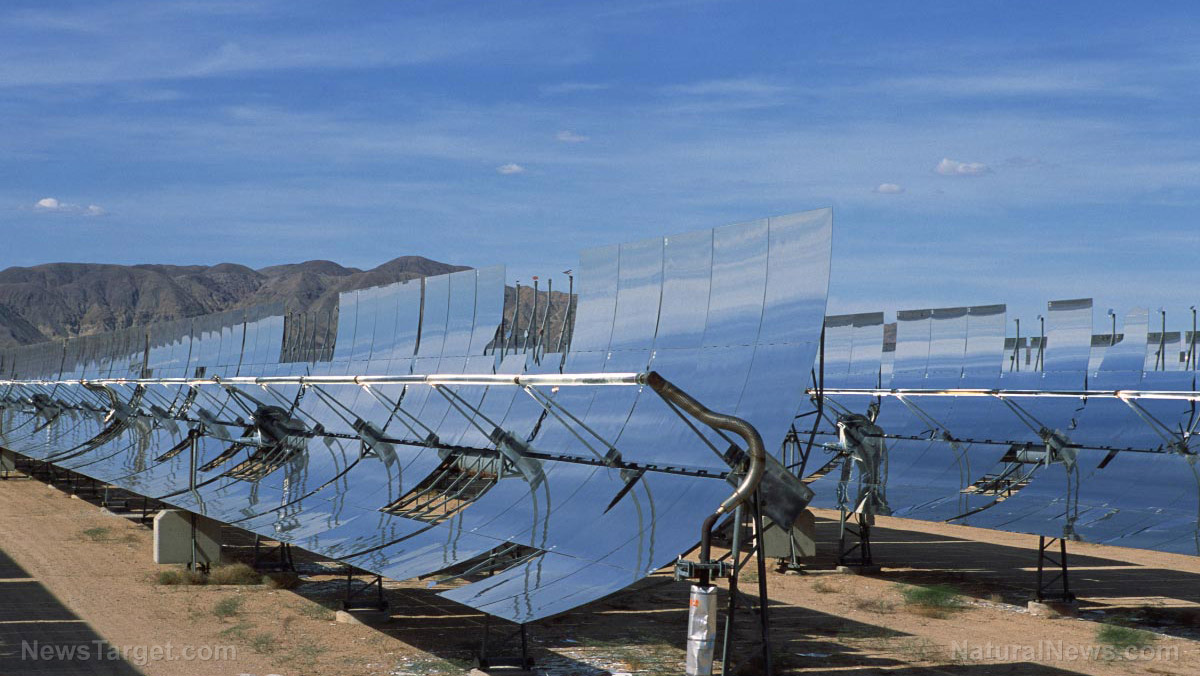 Solar-Panels-Outside.jpg