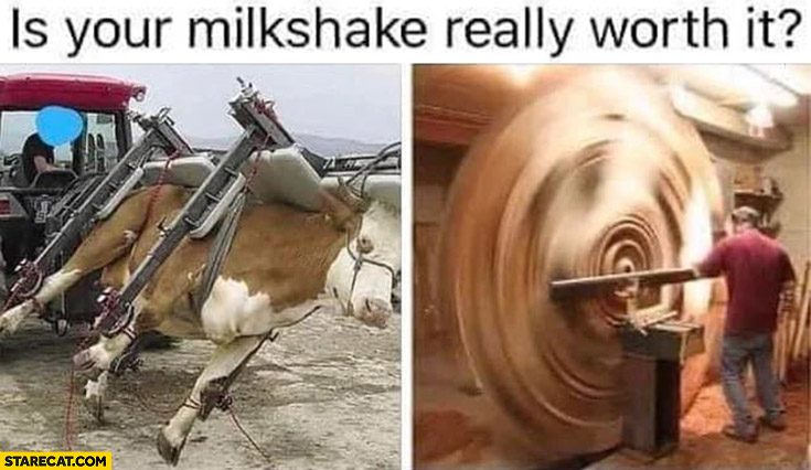 is-your-milkshake-really-worth-it-shaking-a-cow.jpg