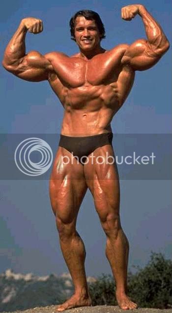 Arnold_Schwarzenegger_872.jpg