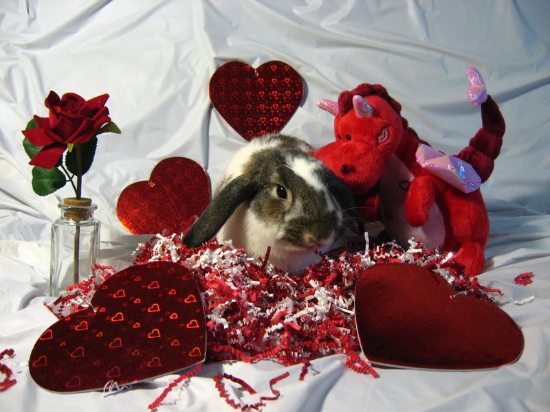 ValentineBunnies012.jpg