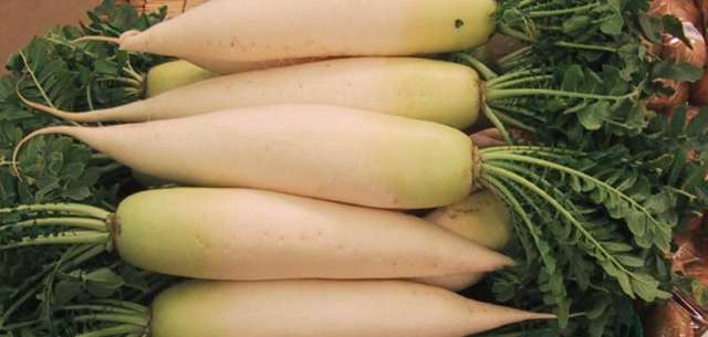 Daikon.Japan.jpg