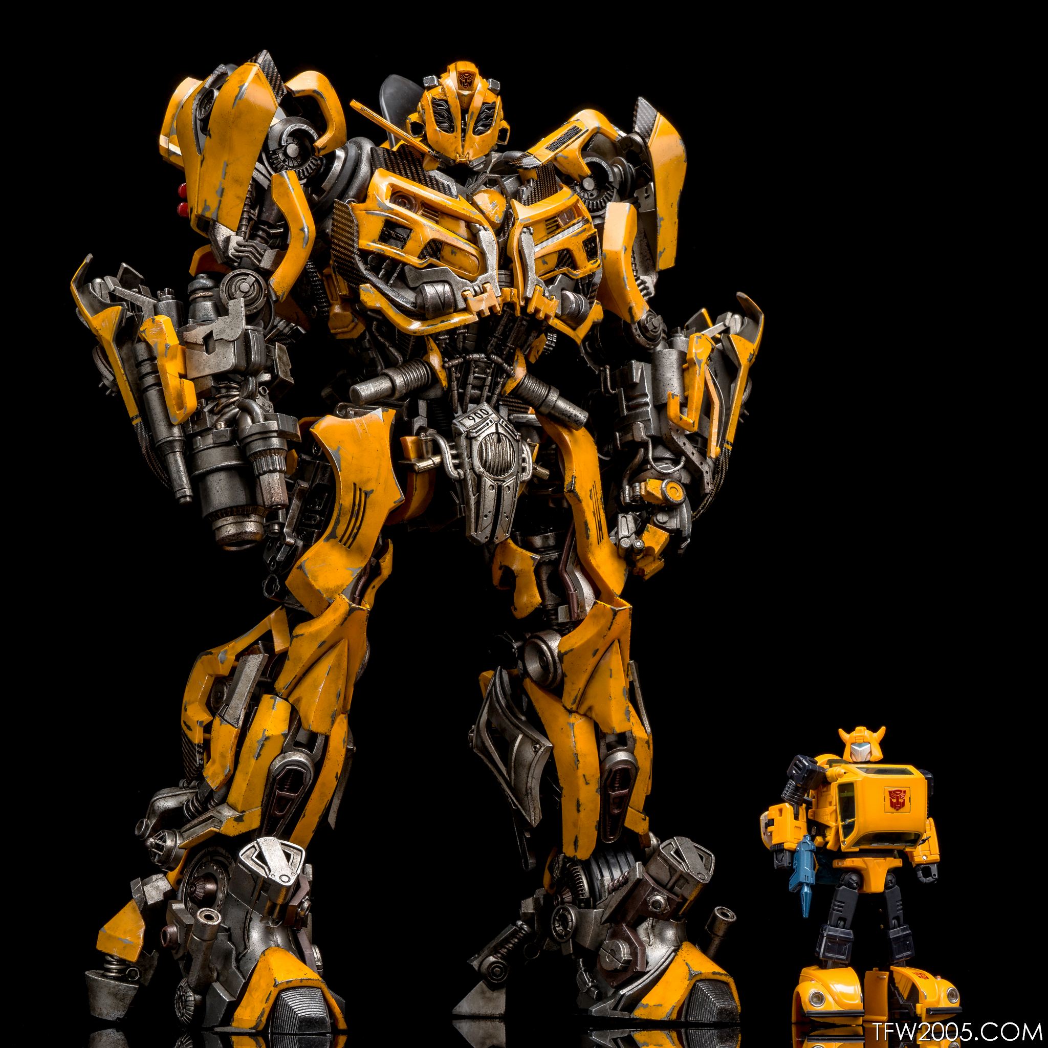 3A-Bumblebee-073.jpg