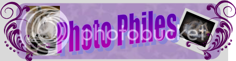 photophiles.png