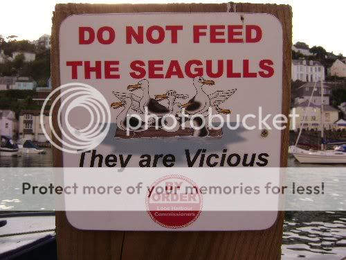 seagullsign.jpg