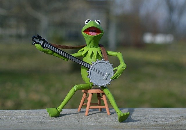 kermit-1784902-640.jpg