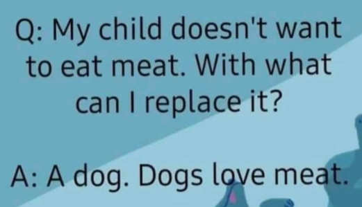 my-child-doesnt-want-to-eat-meat-what-can-i-replace-it-with-a-dog-dogs-love-meat.jpg