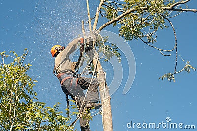 wood-chips-flying-from-chainsaw-thumb22036973.jpg