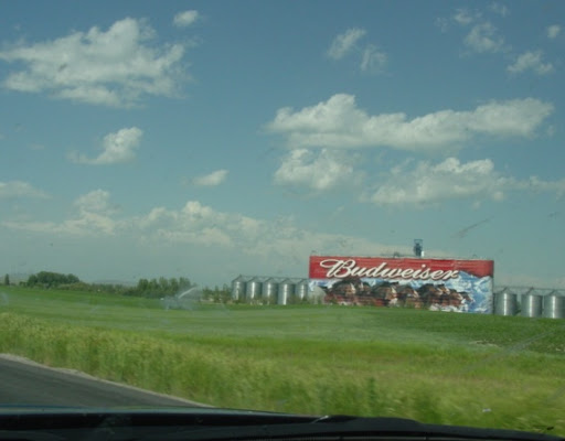 11RT566_0708_ID_I15N_Budweiser.jpg