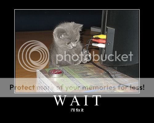 lolcats-wait.jpg