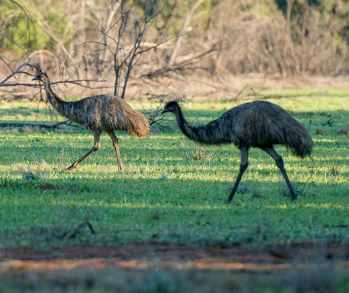 www.environment.nsw.gov.au