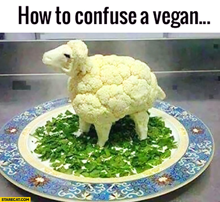 how-to-confuse-a-vegan-cauliflower-looking-like-a-sheep.jpg