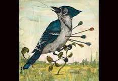 Image result for are Blue jays protected in any state?