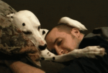 dogs-puppy.gif
