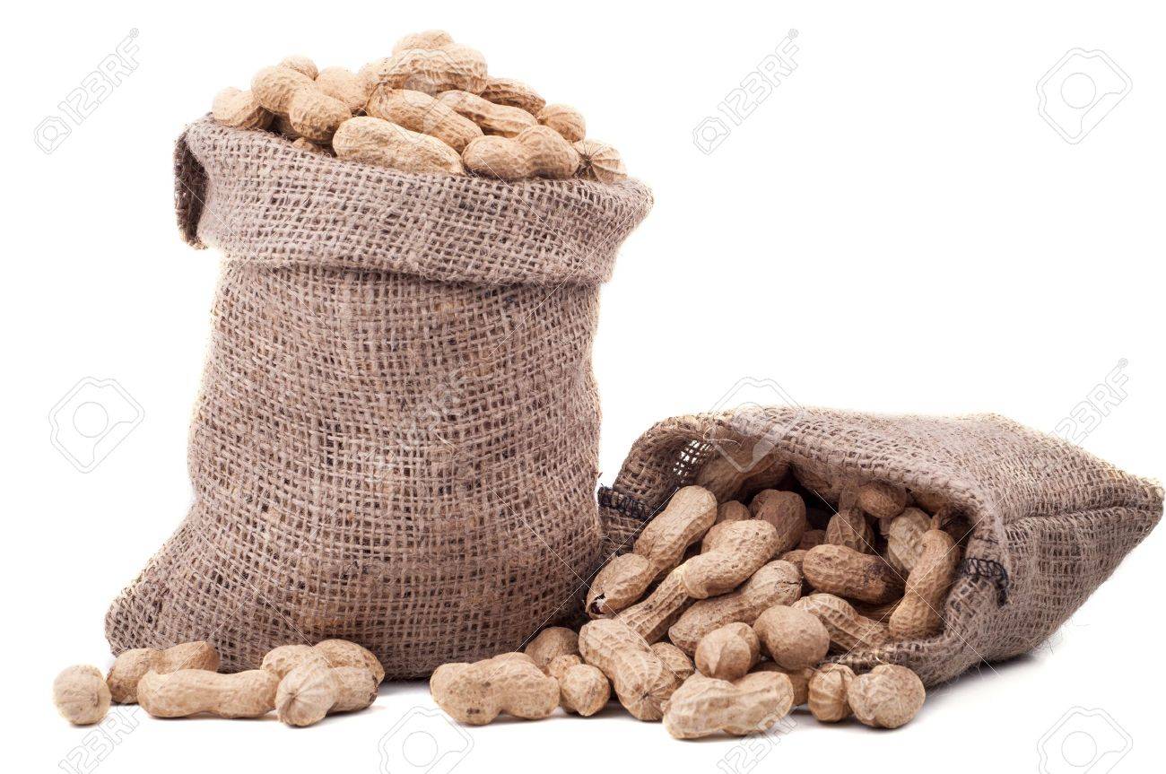 13568123-Peanut-in-a-bag-on-a-white-background-Stock-Photo-peanuts-peanut-sacks.jpg