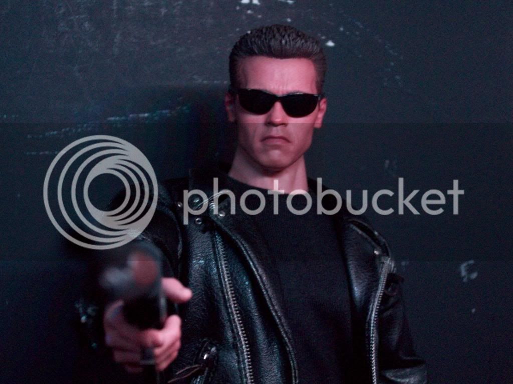 TerminatorCollection-12-2012003.jpg