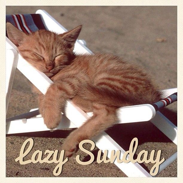 162612-Lazy-Sunday.jpg