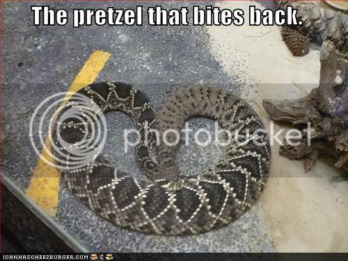 funny-pictures-the-pretzel-that-bites-back.jpg