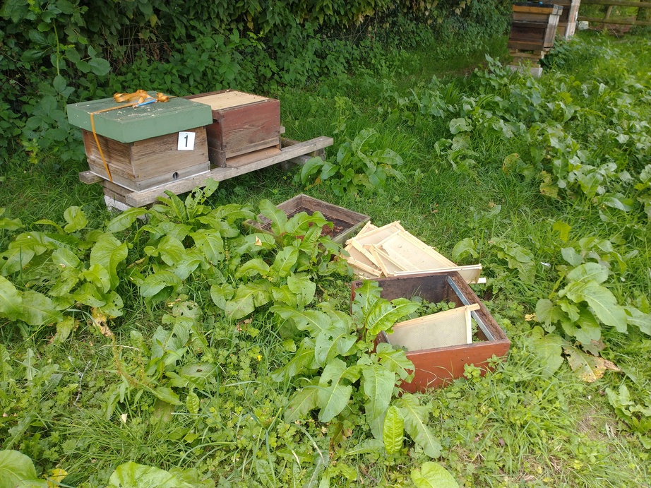 apiary-mess-02.jpg