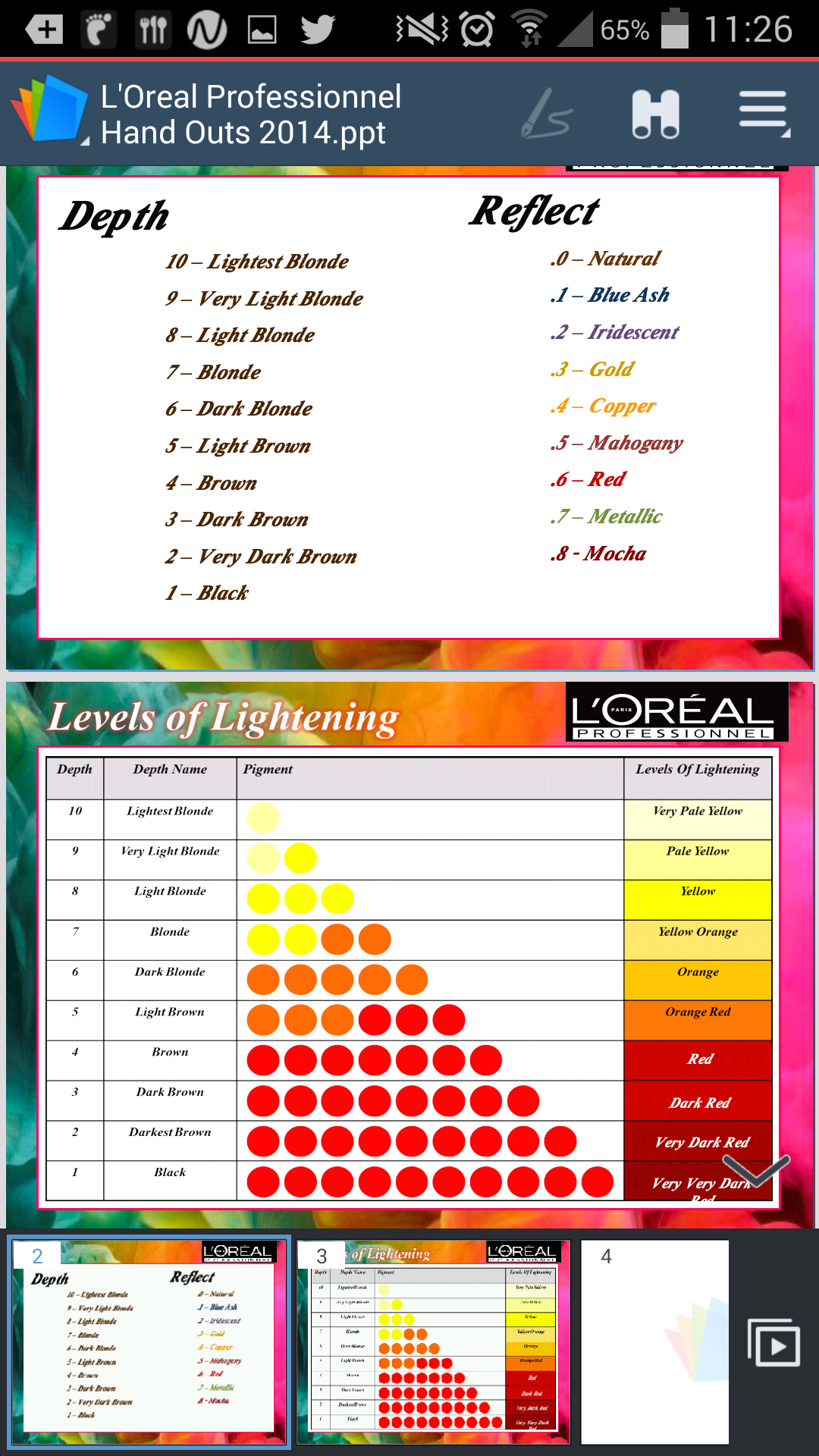 Hair Colour Numbering System