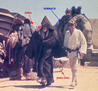 jerba.dewback_crop.jpg