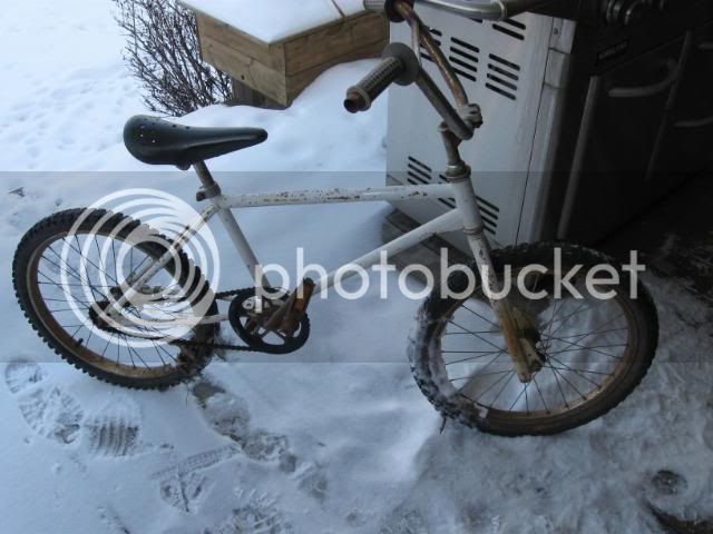 Bikes5071.jpg