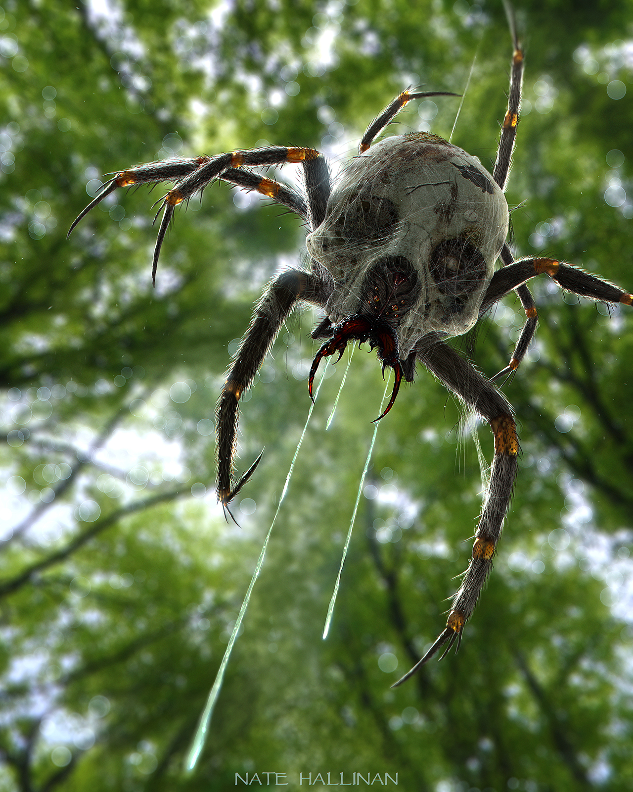 skulltula_ambush_by_natehallinanart-d72bllg.jpg