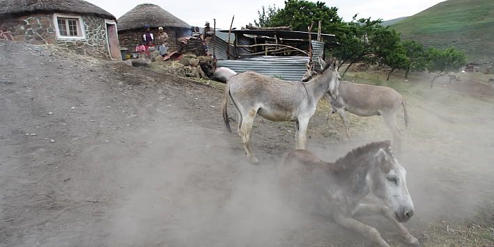 lesotho2010100.jpg