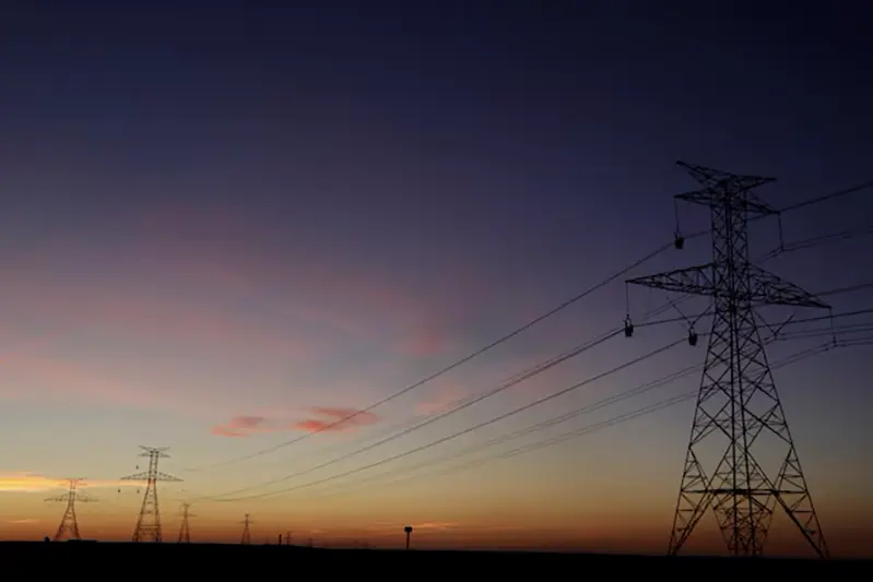 The sun sets behind power lines above the plains north of Amarillo, Texas, U.S., March 14, 2017. REUTERS/Lucas Jackson/File Photo