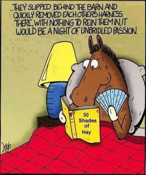 horse-reading-50-shades-of-hay.jpg