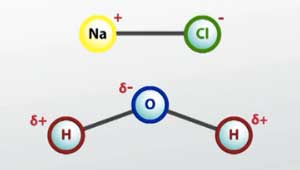 water-and-sodium-chloride-molecules.jpg