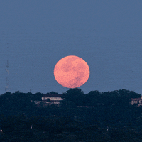 Moon Astronomy GIF