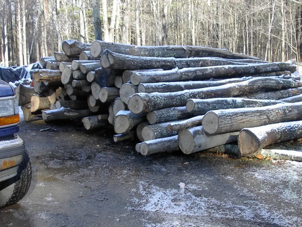 Firewood008.jpg