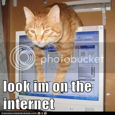 funny-cat-pictures-look-im-on-the-internet.jpg