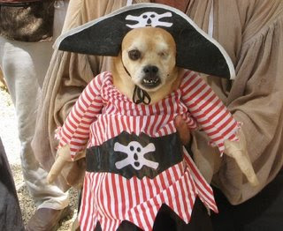 Pirate+Dog3.jpg