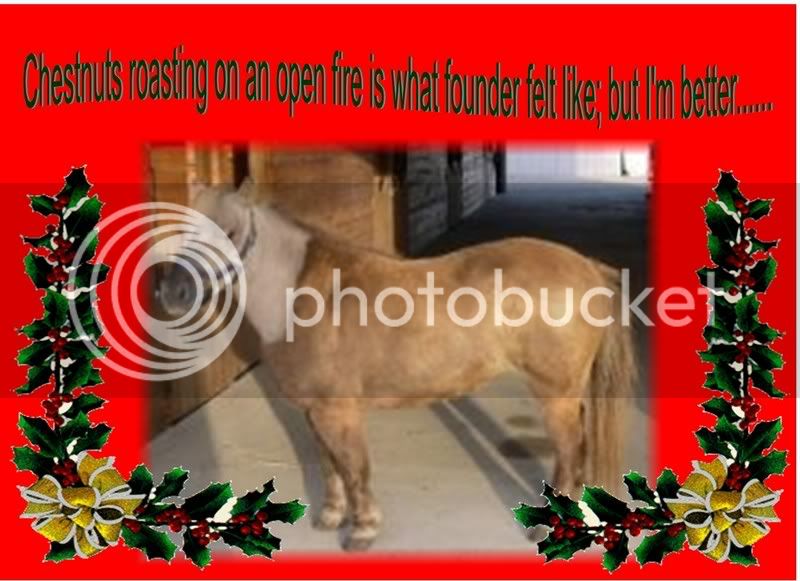 xmashorse4.jpg