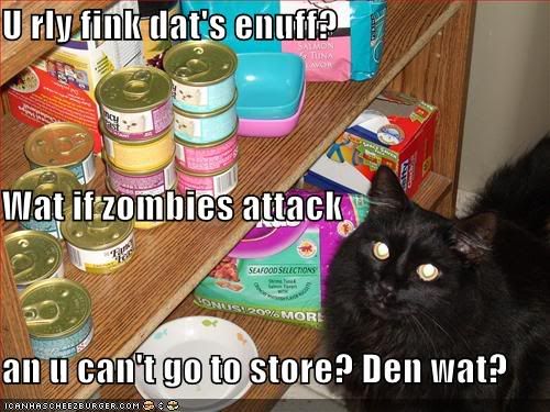 funny-pictures-cat-wants-more-cans-.jpg