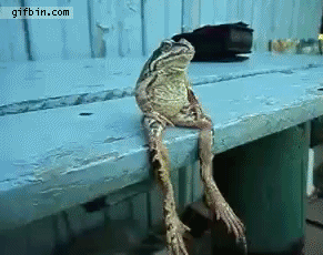 1335201498_frog_sits_like_a_human.gif