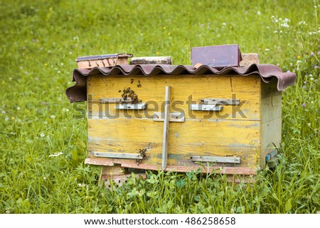 stock-photo-beehive-with-bees-in-a-honey-farm-486258658.jpg