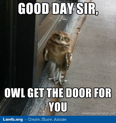 good-day-sir-owl-get-the-door-for-you-meme.jpg