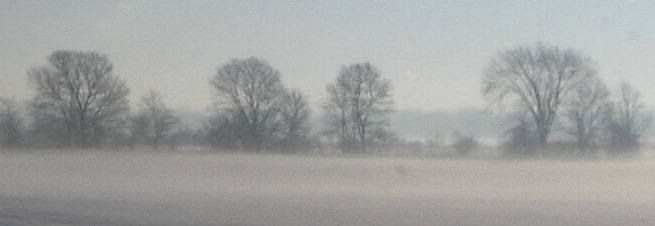 fog4.jpg