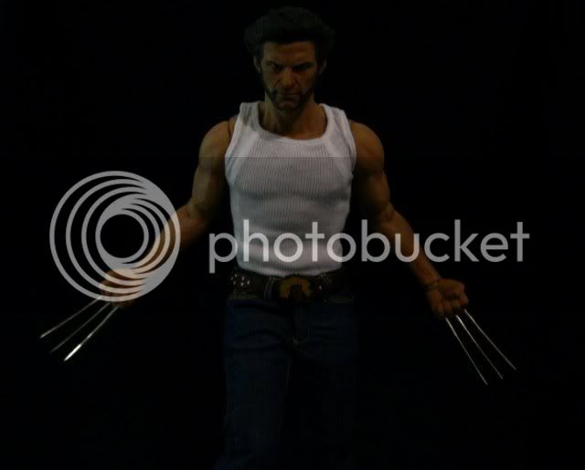 HT_Wolverine13.jpg